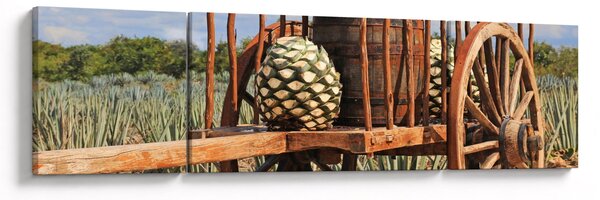 Obraz - Přívěsný vozík (170x50 cm)