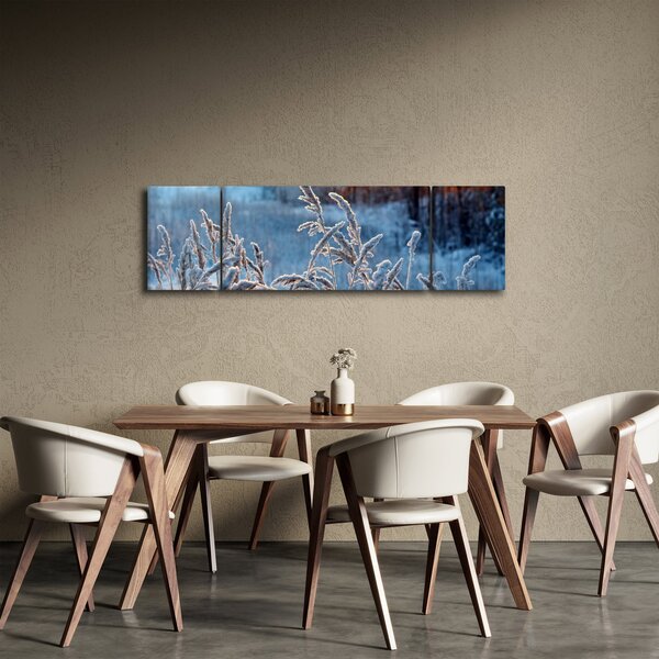 Obraz - Zimní louka (170x50 cm)