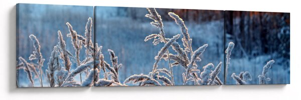 Obraz - Zimní louka (170x50 cm)