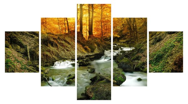 Obraz - Les (125x70 cm)