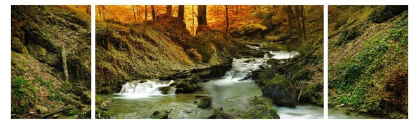 Obraz - Les (170x50 cm)
