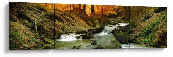 Obraz - Les (170x50 cm)