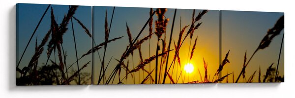 Obraz - Západ slunce v louce (170x50 cm)