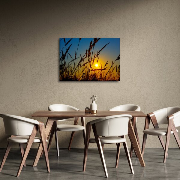 Obraz - Západ slunce v louce (70x50 cm)
