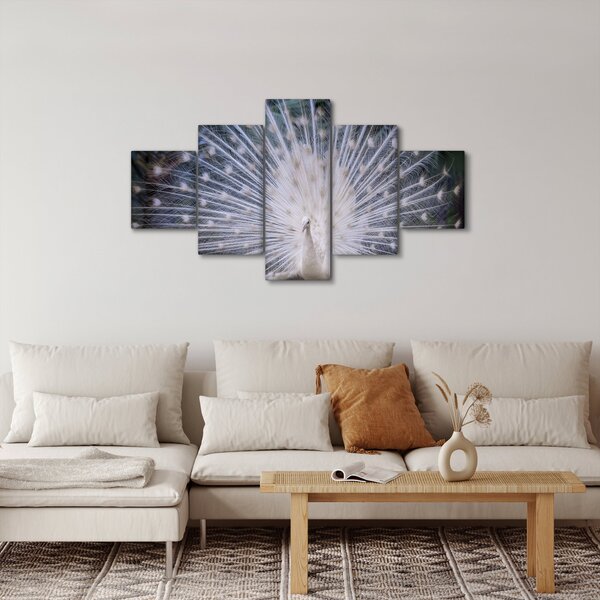 Obraz - Bílý páv (125x70 cm)