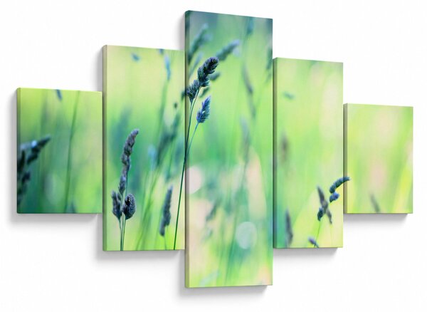 Obraz - Detail louky (125x70 cm)