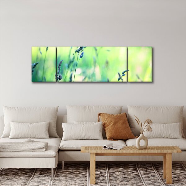 Obraz - Detail louky (170x50 cm)