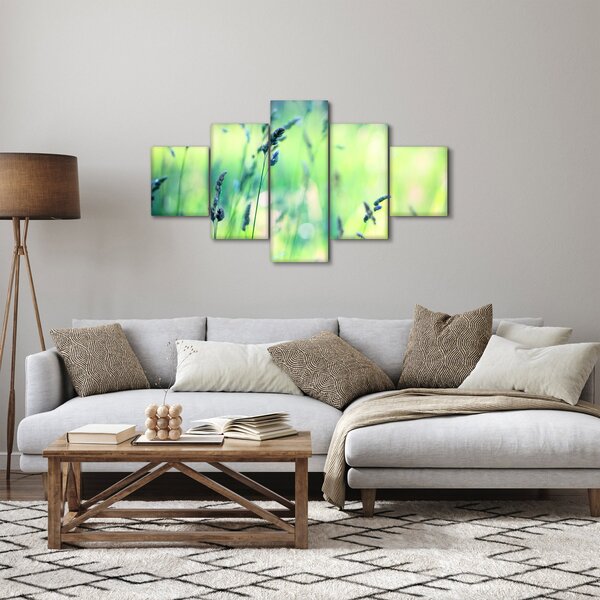 Obraz - Detail louky (125x70 cm)