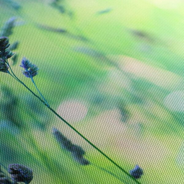 Obraz - Detail louky (170x50 cm)