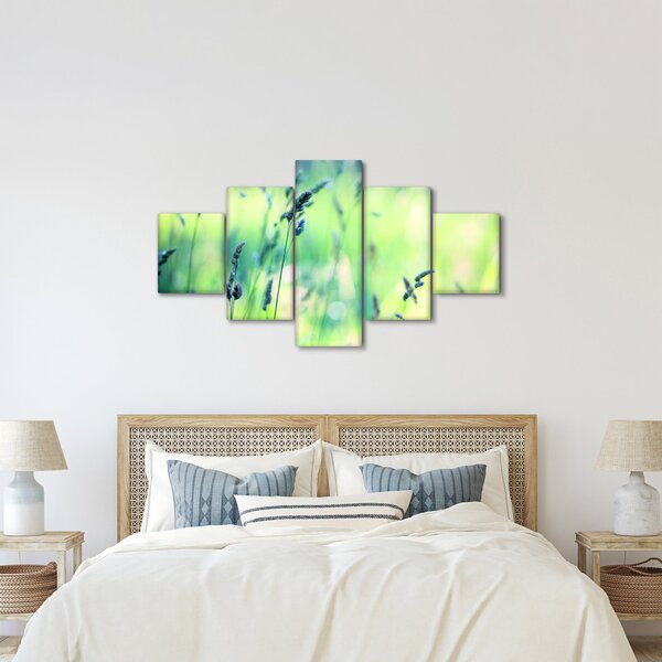 Obraz - Detail louky (125x70 cm)