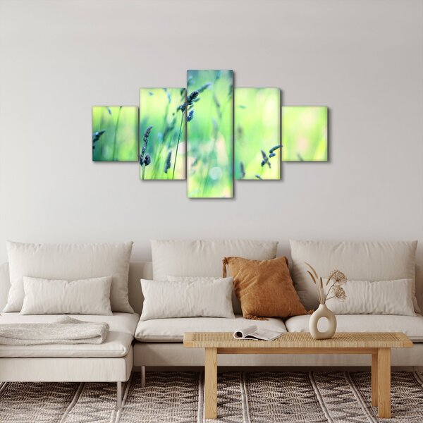 Obraz - Detail louky (125x70 cm)