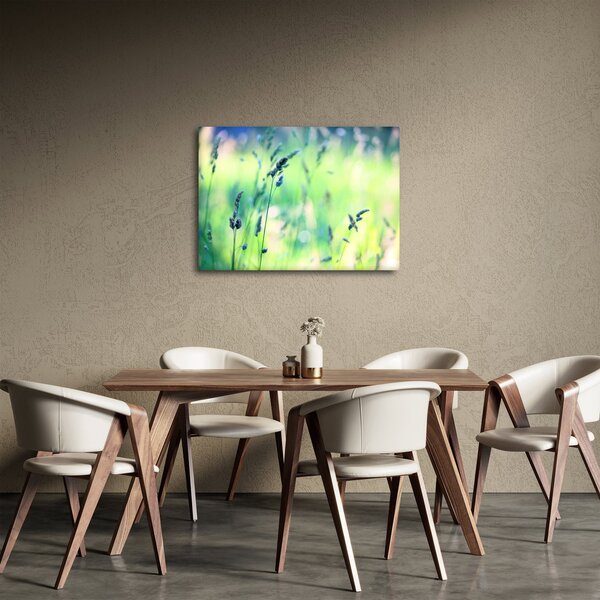Obraz - Detail louky (70x50 cm)