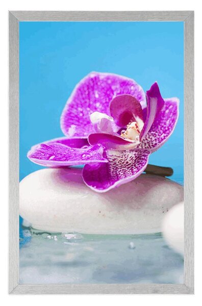 Plakát orchidej a Zen kameny