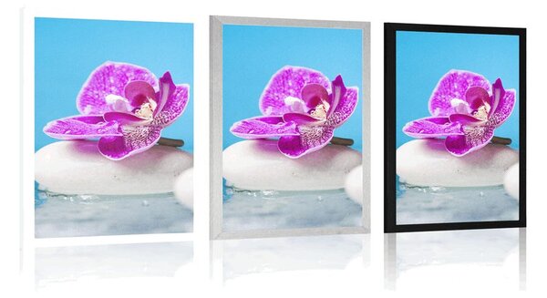 Plakát orchidej a Zen kameny