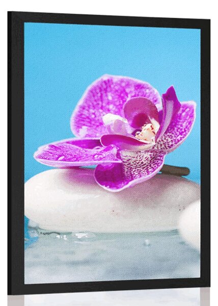 Plakát orchidej a Zen kameny