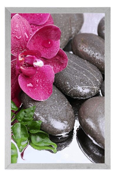 Plakát kvetoucí orchidej a wellness kameny