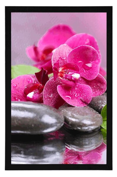 Plakát orchidej s nádechem relaxu