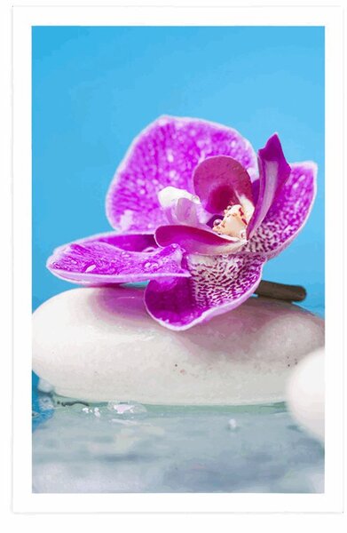 Plakát orchidej a Zen kameny