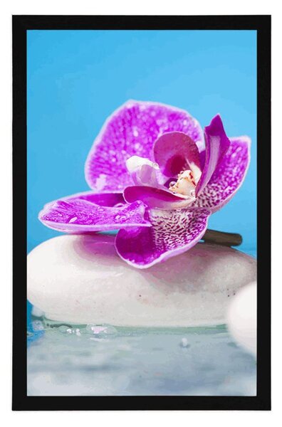 Plakát orchidej a Zen kameny
