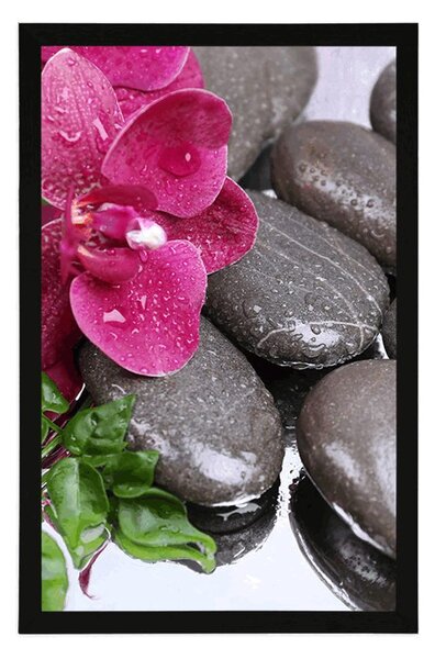 Plakát kvetoucí orchidej a wellness kameny