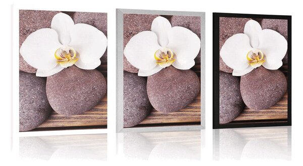 Plakát wellness kameny a orchidej na dřevěném pozadí