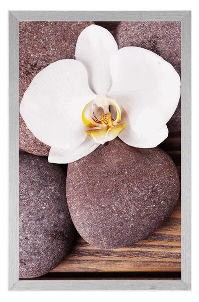 Plakát wellness kameny a orchidej na dřevěném pozadí