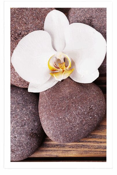 Plakát wellness kameny a orchidej na dřevěném pozadí