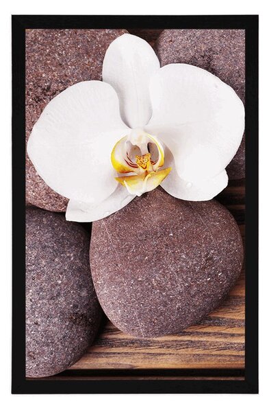 Plakát wellness kameny a orchidej na dřevěném pozadí