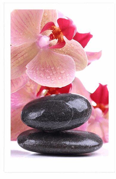 Plakát SPA kameny a orchidej