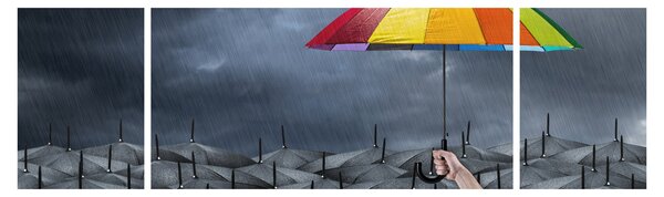 Obraz - Deštníky (170x50 cm)