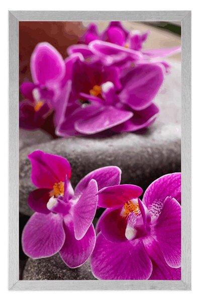 Plakát nádherná orchidej a Zen kameny