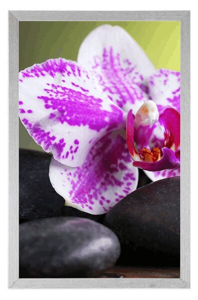 Plakát orchidej a černé kameny