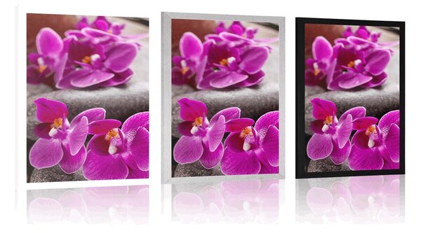 Plakát nádherná orchidej a Zen kameny