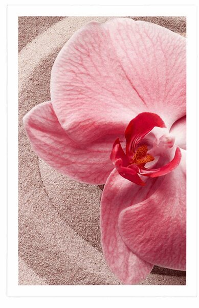 Plakát mořský písek a růžová orchidej