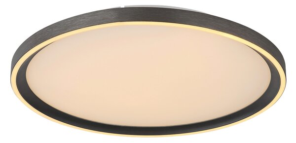 STROPNÍ LED SVÍTIDLO, 40/5.5 cm Globo - Online Only svítidla, Online Only