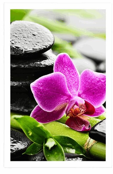 Plakát wellness zátiší s fialovou orchidejí