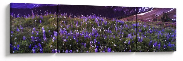 Obraz - Sopka a květiny (170x50 cm)