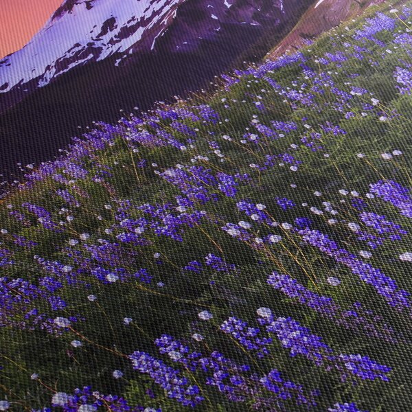 Obraz - Sopka a květiny (125x70 cm)