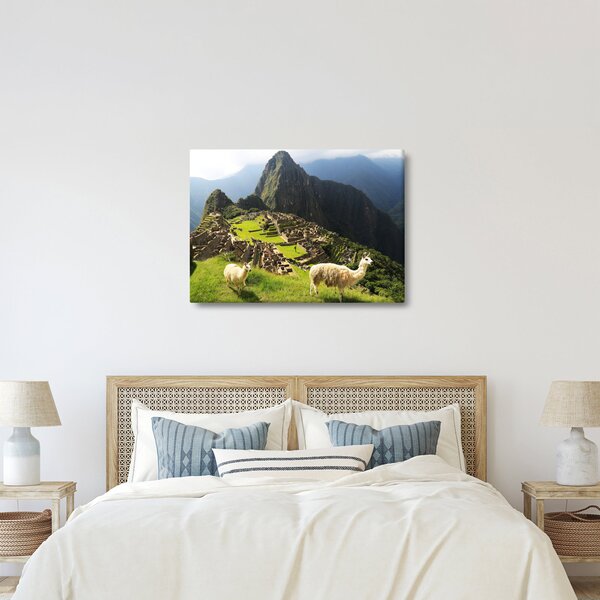 Obraz - Lamy v Machu Picchu (70x50 cm)