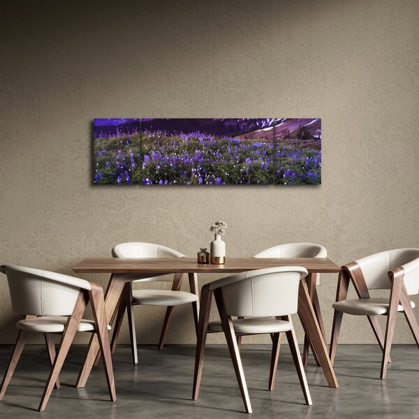 Obraz - Sopka a květiny (170x50 cm)