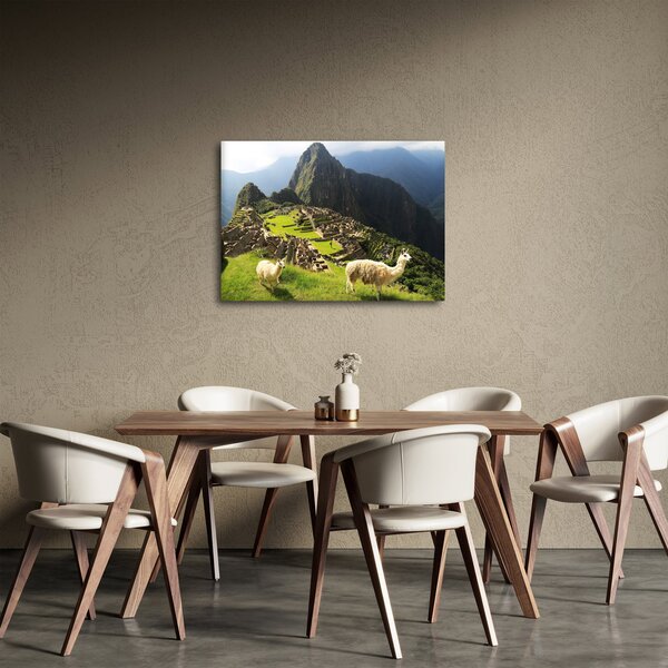 Obraz - Lamy v Machu Picchu (70x50 cm)