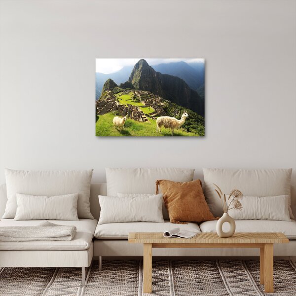 Obraz - Lamy v Machu Picchu (70x50 cm)