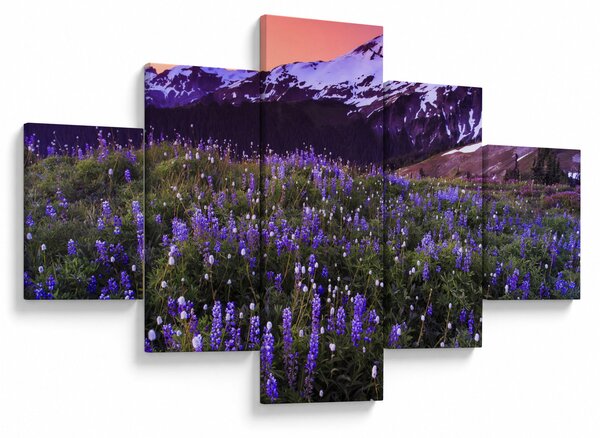 Obraz - Sopka a květiny (125x70 cm)