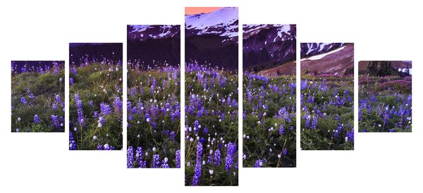 Obraz - Sopka a květiny (210x100 cm)
