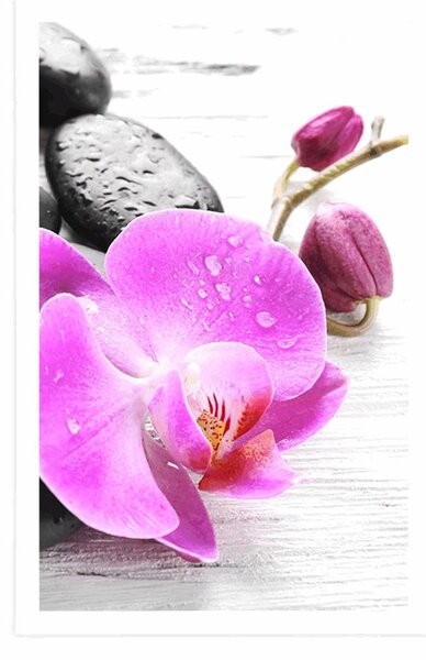 Plakát kouzelná souhra kamenů a orchideje