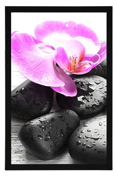 Plakát krásná souhra kamenů a orchideje