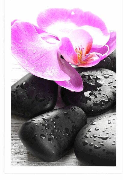 Plakát krásná souhra kamenů a orchideje