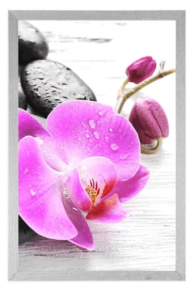 Plakát kouzelná souhra kamenů a orchideje