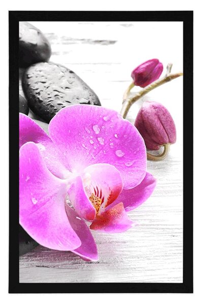 Plakát kouzelná souhra kamenů a orchideje
