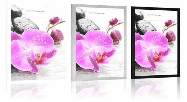 Plakát kouzelná souhra kamenů a orchideje
